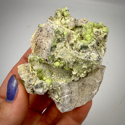 Wavellite – Mauldin Mountain Arkansas USA Rocks & Fossils