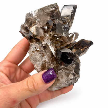 Smoky Quartz Crystal Cluster – Natural Multi-Point Specimen, One of a Kind