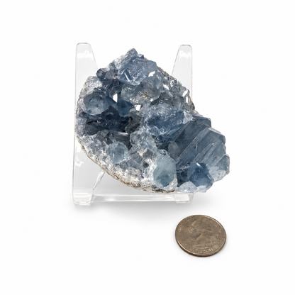 Blue Celestite cluster next to a quarter for size