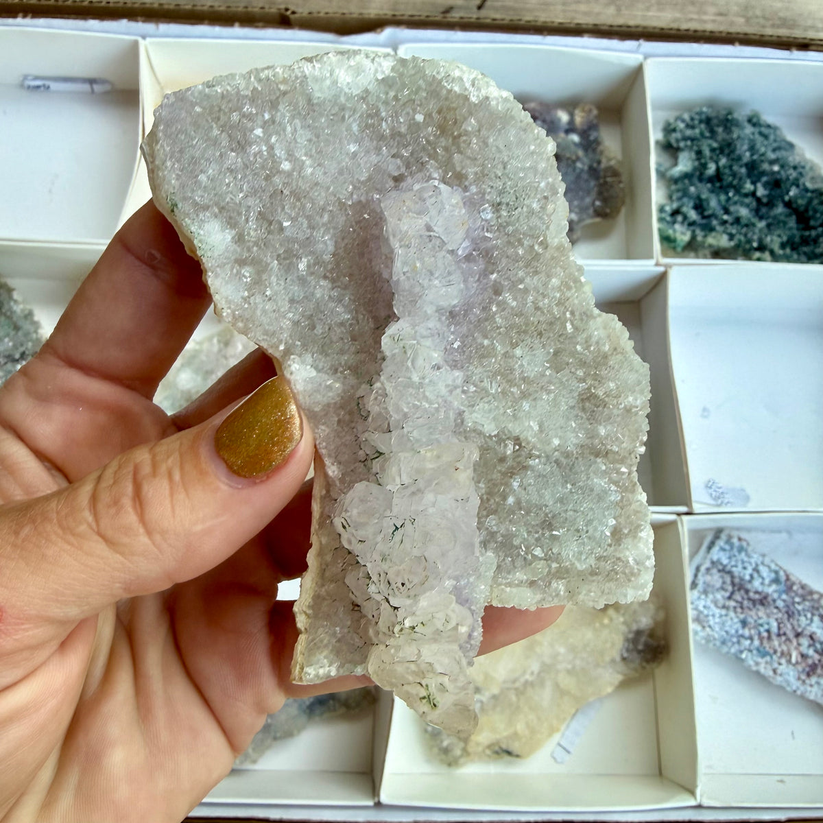 Amethyst Flower Cluster Plates — Rare Natural Specimens