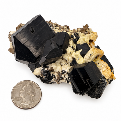 Chunky terminated black tourmaline crystals with deep striations, shown in hand - Magick Souls