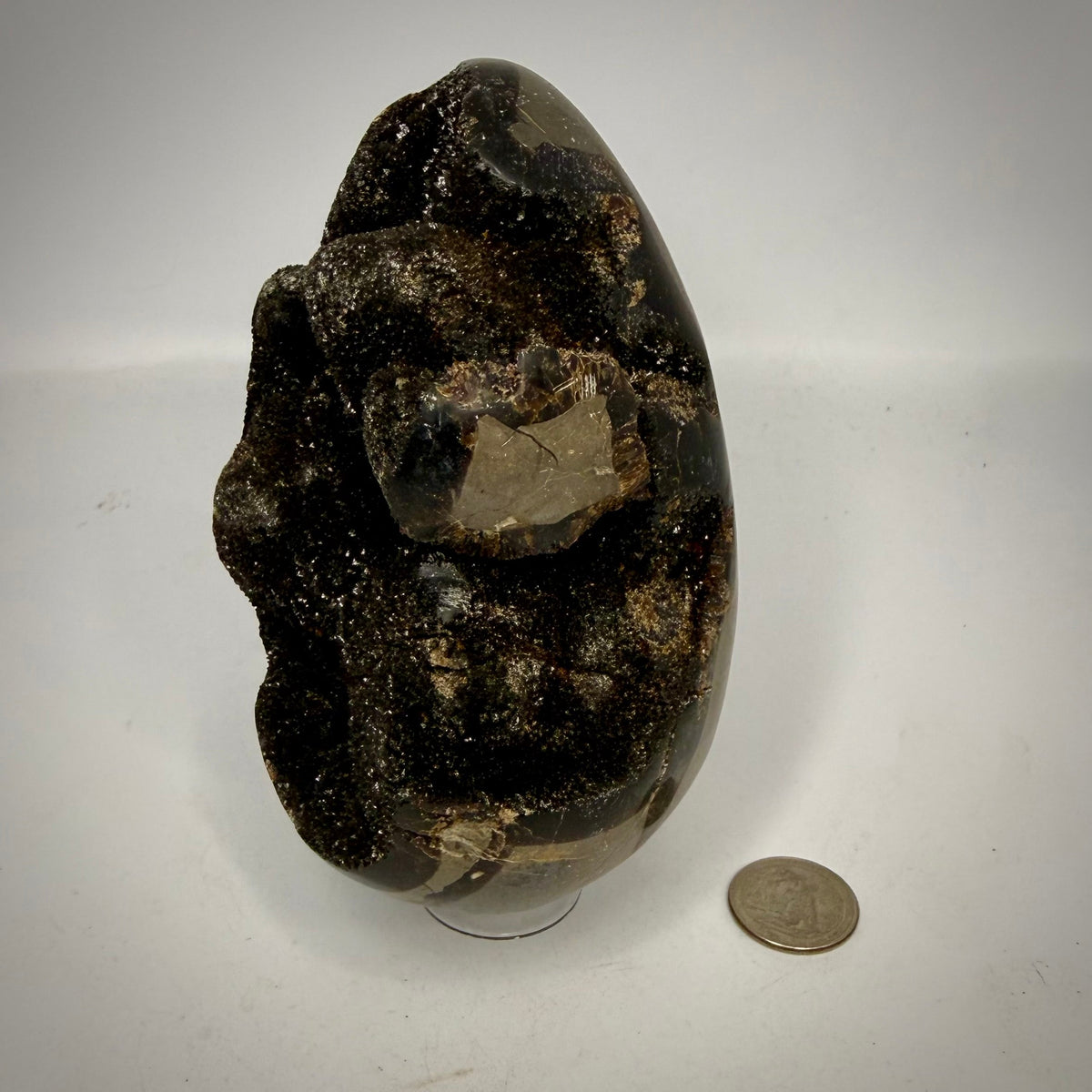 Septarian Druzy Dragon Egg UV Reactive Rocks & Fossils