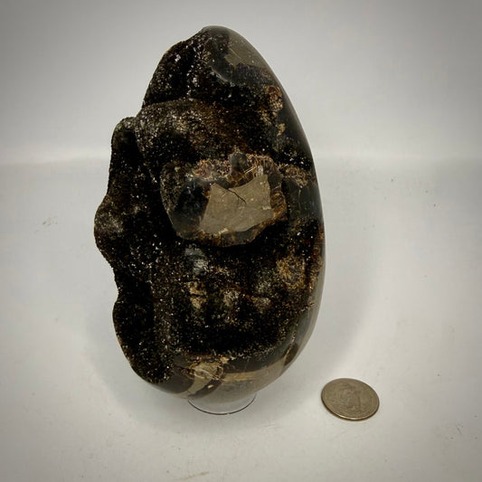 Septarian Druzy Dragon Egg UV Reactive Rocks & Fossils