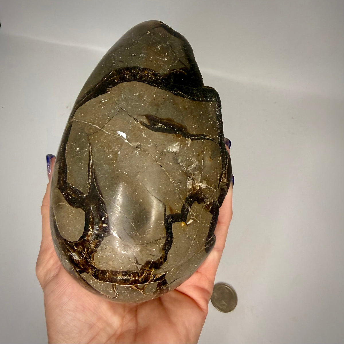 Septarian Druzy Dragon Egg UV Reactive Rocks & Fossils