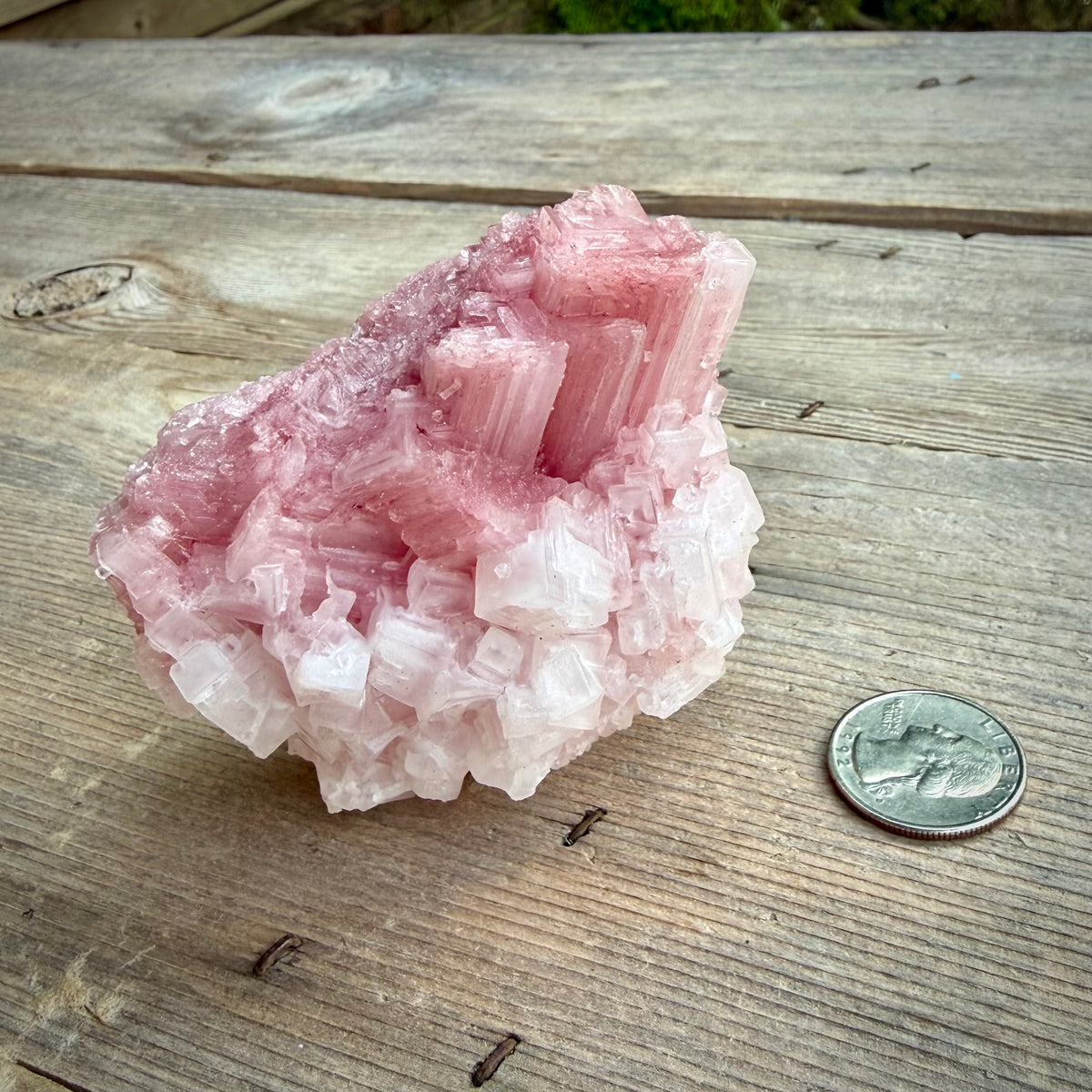 Pink Halite Crystal Cluster – Natural Specimen, One of a Kind