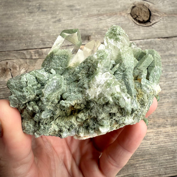 Phantom Chlorite Quartz Green Ghost Cluster Mineral Specimen