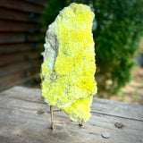 XL Sulphur Crystal Mineral Specimen from Bolivia