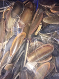 Agate Slice (3 Pcs) (2 3 Inches Long) Size #0 Grade A Oblong Natural Crystal Slab Polished Sliced Agates Escort Place