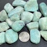 Amazonite Feldspar Tumbled Stones (By The Piece Or Pound) Wholesale Home & Living > Home Decor > Home Accents > Rocks &