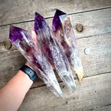 Amethyst Bahia Root Elestial Dragon Tooth Wand - Magick Souls