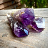 Amethyst Bahia Root Elestial Dragon Tooth Wand - Magick Souls