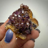 Amethystos from Kwaggafontein South Africa Rocks & Fossils