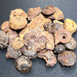 Ammonite Fossils Mixed Quality (By The Ounce Or Pound) Spiral Ammonoids Wholesale Home & Living > Home Decor > Home