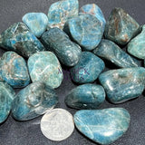 Apatite Mixed Quality Tumbled (By The Piece Or Pound) Gemstone Decor Wholesale Bulk Supply Home & Living > Home Decor >