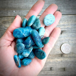 Apatite Tumbled Crystal - Magick Souls