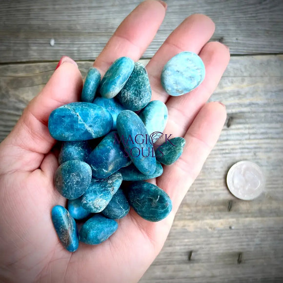 Apatite Tumbled Crystal - Magick Souls
