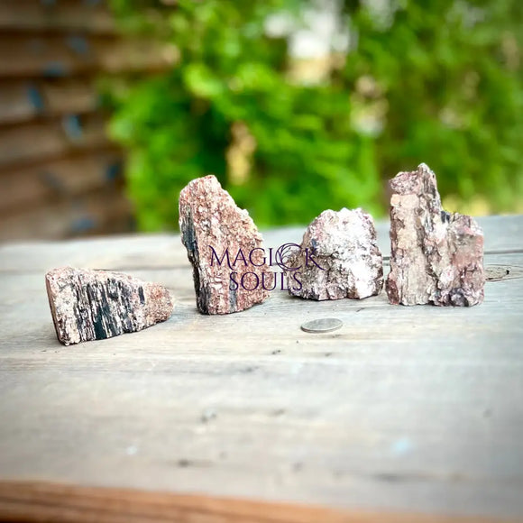 Black Tourmaline and Mica Flat Based Natural Freeforms - Magick Souls