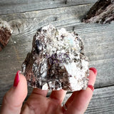 Black Tourmaline and Mica Flat Based Natural Freeforms - Magick Souls