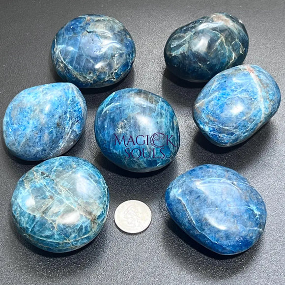 Blue Apatite Large Freeform Palm Stones (2 to 2.5 Inches) Polished Carving Gemstones Home & Living > Home Decor > Home