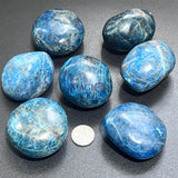 Blue Apatite Large Freeform Palm Stones (2 to 2.5 Inches) Polished Carving Gemstones Home & Living > Home Decor > Home