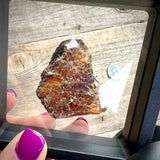Blue UV Reactive Sumatran Amber in display - Magick Souls