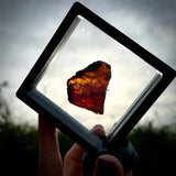 Blue UV Reactive Sumatran Amber in display - Magick Souls