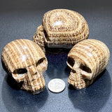 Brown Striped Aragonite Skull Carving Wholesale Home & Living > Home Decor > Home Accents > Rocks & Geodes