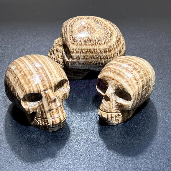 Brown Striped Aragonite Skull Carving Wholesale Home & Living > Home Decor > Home Accents > Rocks & Geodes