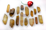 Bulk Wholesale Citrine Lot 50 Grams (10 to 15 pcs) Natural Untreated Crystal Points from Congo Rough Raw Healing
