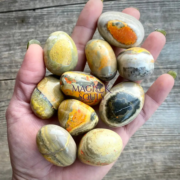 Bumblebee Jasper Tumbles - Magick Souls