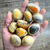 Bumblebee Jasper Tumbles - Magick Souls