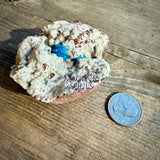 Cavansite on Heulandite Specimen - Magick Souls