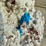 Cavansite on Heulandite Specimen - Magick Souls