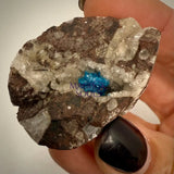 Cavansite – Rare specimens from India 005 Home & Living > Home Decor > Rocks & Geodes