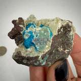 Cavansite – Rare specimens from India 007 Home & Living > Home Decor > Rocks & Geodes