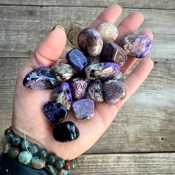 Charoite Crystal Tumbled - Magick Souls