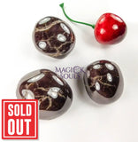 Cherry Garnet Tumbled (1 LB) One Pound Bulk Wholesale Lot Polished Gemstones Home & Living > Home Decor > Rocks & Geodes