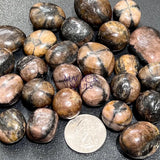Chiastolite Mixed Quality (Fairy Cross Stone) Tumbled (By The Piece or Pound) Polished Crystals Home & Living > Home