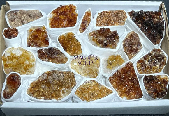 Citrine Druzy Crystal Cluster Wholesale Box Flat Home & Living > Home Decor > Home Accents > Rocks & Geodes