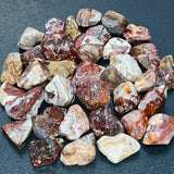 Crazy Lace Agate Tumbled (By The Piece Or Pound) Polished Gemstones Wholesale Lot Supply Home & Living > Home Decor >