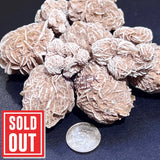 Desert Rose Selenite Crystals Rough (1 LB) One Pound Bulk Wholesale Lot Raw Gemstones Wholesale Rough Rocks