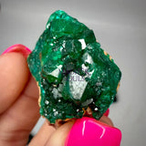 Dioptase Small Cluster – Rare Green Crystal from Congo Home & Living > Home Decor > Home Accents > Rocks & Geodes