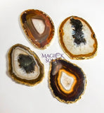 Drilled Hole Natural Gray Brown Agate Slice (2mm Hole)(Gold Plated Edges) Wholesale Craft Supplies & Tools > Raw