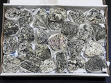 Epidote Crystals (Avg 3.5 LBs) Box Flat Bulk Wholesale Lot Rough Raw Stones Gemstones Home & Living > Home Decor > Home