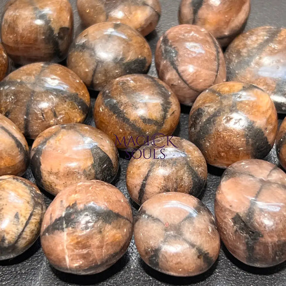 Extra Quality Premium Chiastolite Tumbled Stones (By The Piece or Pound)(Fairy Cross Stone) Home & Living > Home Decor