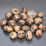Extra Quality Premium Chiastolite Tumbled Stones (By The Piece or Pound)(Fairy Cross Stone) Home & Living > Home Decor