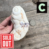 Fairy Goddess Menilite Opal Stone from Morocco - Magick Souls