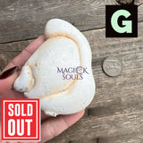 Fairy Goddess Menilite Opal Stone from Morocco - Magick Souls