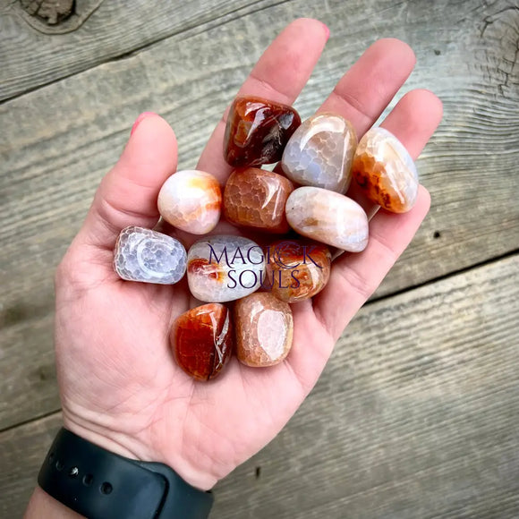 Fire Agate Tumbles - Magick Souls