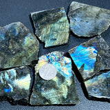 Flashy Labradorite Polished Rough Cut Slab Tiles (By The Piece or Pound) Wholesale Home & Living > Home Decor > Home